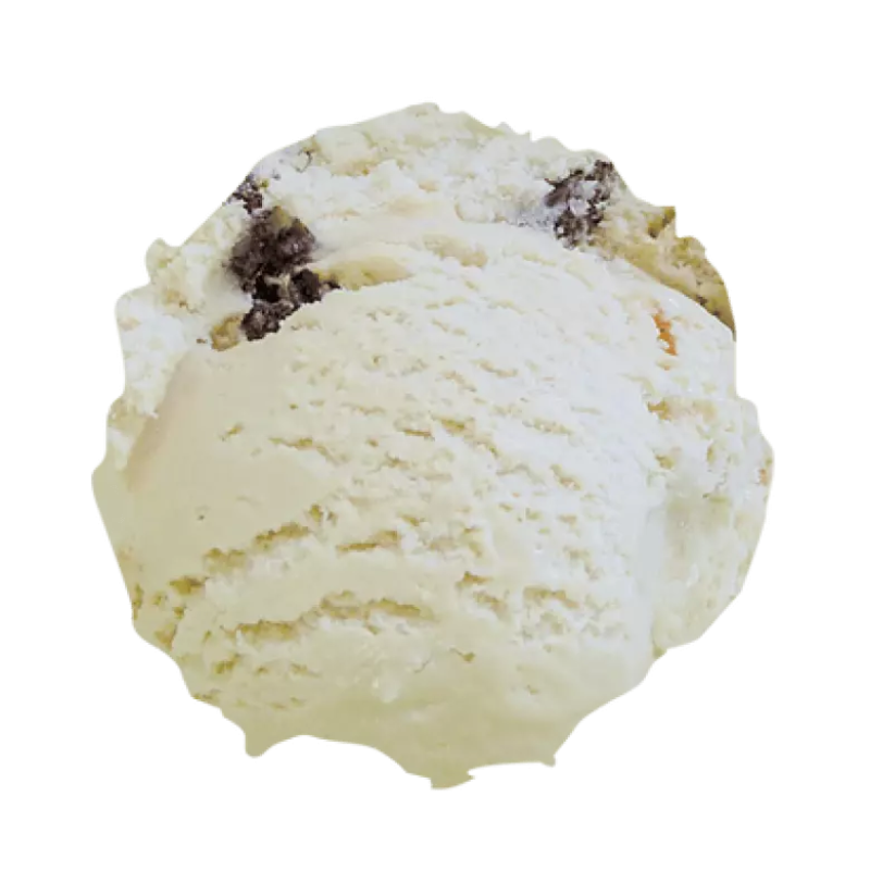 Rum Raisin